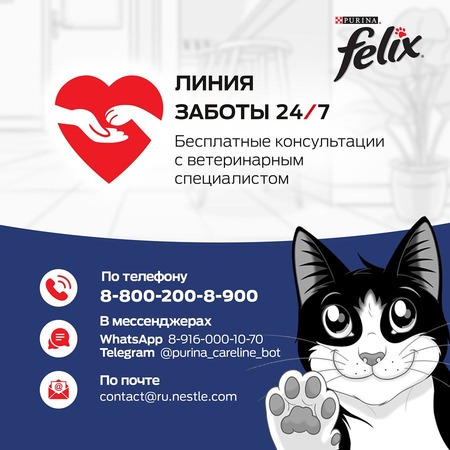 Felix Двойная Вкуснятина для взрослых кошек, с птицей - 600 г фото 4