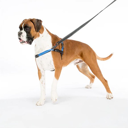 Ferplast Coach шлейка для собак, с кольцом спереди, синяя - L-XL (A:40-53 см, B:76-115 см, 25 мм) фото 4