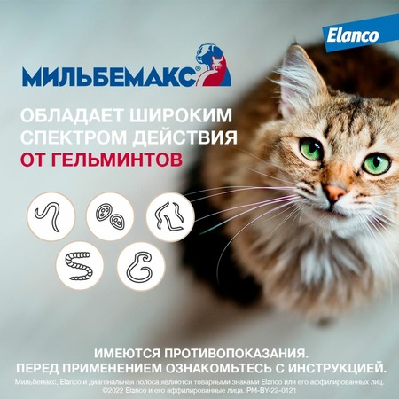 Elanco Мильбемакс таблетки от глистов для котят и молодых кошек (2 таблетки) фото 4