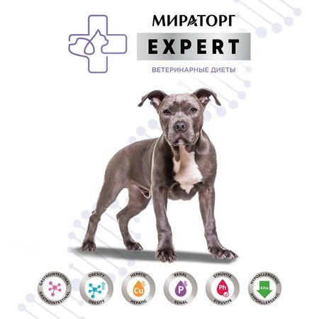 Мираторг Expert полнорационный сухой корм для взрослых собак, для заботы о пищеварении - 10 кг фото 4