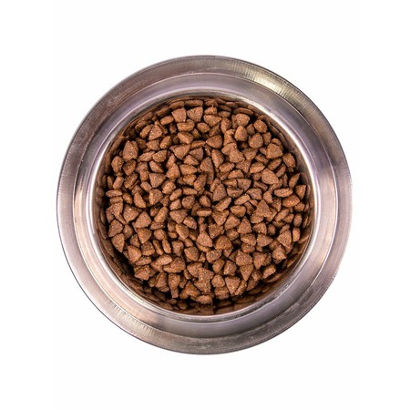 Monge Dog Speciality Line Monoprotein Mini полнорационный сухой корм для собак мелких пород, с ягненком, рисом и картофелем - 2,5 кг фото 4