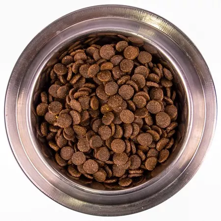 Monge Dog Speciality Line Monoprotein Puppy & Junior полнорационный сухой корм для щенков, с лососем и рисом - 800 г фото 4