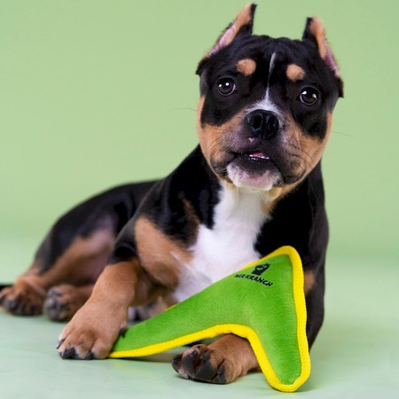 Mr.Kranch игрушка для собак мелких и средних пород, бумеранг с пищалкой, зеленый - 22х19х4,5 см фото 4