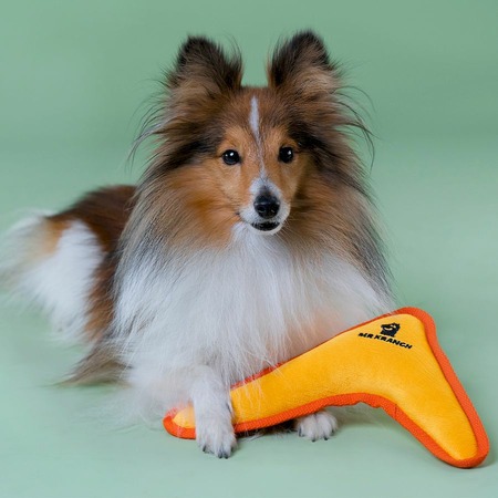 Mr.Kranch игрушка для собак мелких и средних пород, бумеранг с пищалкой, желтый - 22х19х4,5 см фото 4
