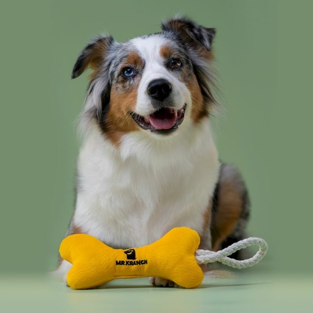 Mr.Kranch игрушка для собак мелких и средних пород, косточка с канатом, желтая - 31х9х4 см фото 4
