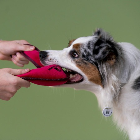 Mr.Kranch игрушка для собак средних и крупных пород, бумеранг с пищалкой, розовый - 34х28,5х6,5 см фото 4