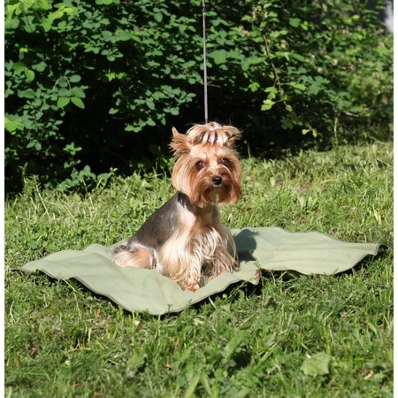 OSSO-fashion охлаждающий коврик для собак и кошек, зеленый, 75х100 см фото 4