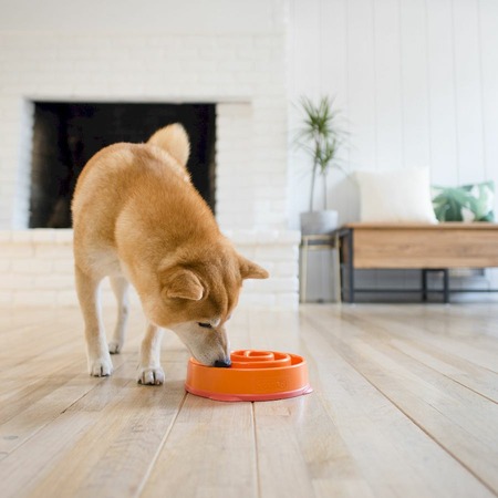 Outward Hound миска для собак "Водоворот", для медленного поедания корма, оранжевая фото 4