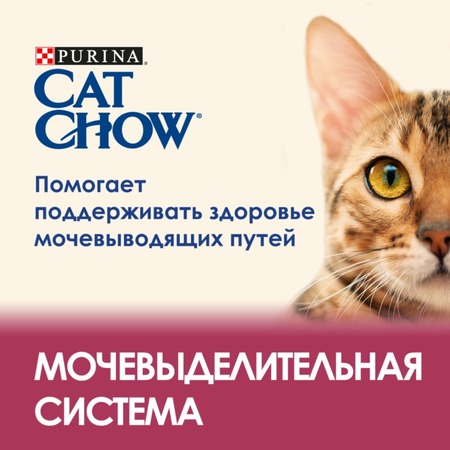 Cat Chow полнорационный сухой корм для кошек, для здоровья мочевыводящих путей, с высоким содержанием домашней птицы - 7 кг фото 4