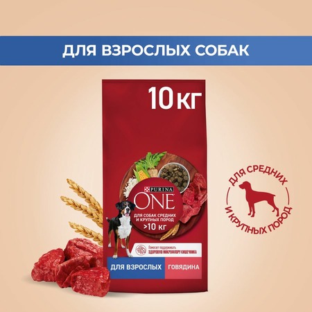 Purina ONE сухой корм для взрослых собак средних и крупных пород с высоким содержанием говядины и с рисом - 10 кг фото 4
