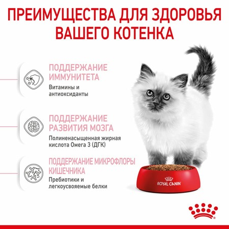 Royal Canin Kitten полнорационный сухой корм для котят в период третьей фазы роста до 12 месяцев - 1,2 кг фото 4