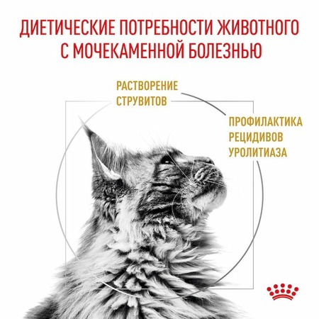 Royal Canin Urinary Urinary S/O LP34 полнорационный сухой корм для взрослых кошек способствующий растворению струвитных камней, диетический - 3,5 кг фото 4