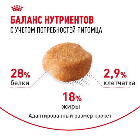 Royal Canin Yorkshire Terrier Adult полнорационный сухой корм для взрослых собак породы йоркширский терьер старше 10 месяцев - 3 кг фото 4