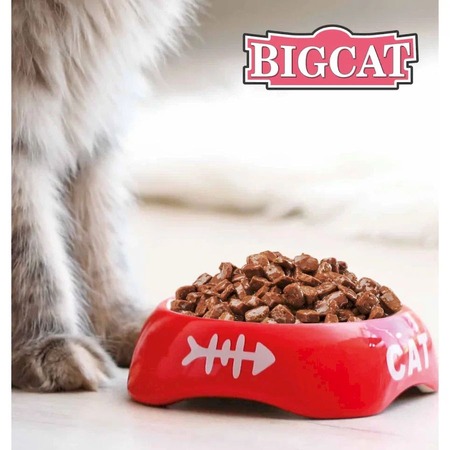 Зоогурман Big Cat влажный корм для кошек крупных пород, с мясным ассорти, кусочки в желе, в консервах - 350 г фото 4