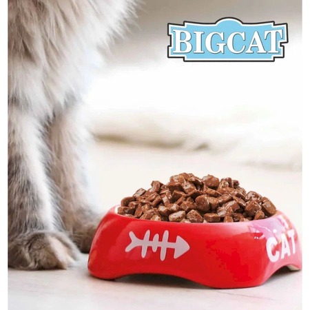 Зоогурман Big Cat влажный корм для кошек крупных пород, с нежной говядиной, кусочки в желе, в консервах - 350 г фото 4