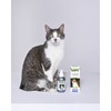 АВЗ Барс спрей инсектоакарицидный для кошек - 100 мл фото 5