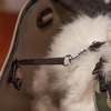 Ferplast With-Me Pro сумка-переноска для собак мелких пород, с сеткой, бежевая - 21,5x43,5xh27 см фото 5