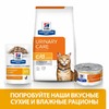 Hills Prescription Diet c/d диетический сухой корм для взрослых кошек для профилактики мочекаменной болезни (МКБ, струвиты) - 8 кг фото 5