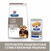 Hills Prescription Diet l/d диетический сухой корм для собак при заболеваниях печени - 10 кг фото 5