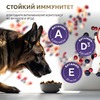 Just Dog Holistic влажный корм для собак, с ЯГНЕНКОМ, черникой, клюквой и яблоком / Just Dog Holistic, 0,340 кг (консервы) фото 5