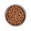 Monge Cat BWild Low Grain полнорационный сухой корм для кошек, низкозерновой, с анчоусами - 1,5 кг фото 5