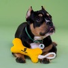 Mr.Kranch игрушка для собак мелких и средних пород, косточка с канатом, желтая - 31х9х4 см фото 5