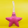 Mr.Kranch игрушка для собак мелких и средних пород, звездочка с канатом и пищалкой, нежно-розовая - 26х16х5 см фото 5