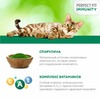 Perfect Fit Immunity влажный корм для поддержания иммунитета кошек, с индейкой и спирулиной в желе, в паучах - 75 г х 28 шт фото 5