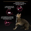 Pro Plan Sterilised сухой корм для стерилизованных кошек и кастрированных котов, с высоким содержанием трески и форелью фото 5