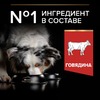 Purina Pro Plan Duo Delice сухой корм для взрослых собак средних и крупных пород с говядиной и рисом - 10 кг фото 5