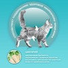 Purina ONE Sterilised сухой корм для стерилизованных кошек и кастрированных котов, с лососем и пшеницей - 200 г фото 5
