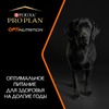 Pro Plan Opti Balance Medium сухой корм для взрослых собак средних пород с курицей - 3 кг фото 5