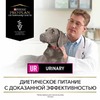 Сухой корм полнорационный диетический Pro Plan Veterinary Diets UR Urinary для взрослых собак для растворения струвитных камней, со свойствами подкисления мочи и низким содержанием магния - 3 кг фото 5