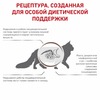 Royal Canin Gastrointestinal Fibre Response полнорационный сухой корм для взрослых кошек при запорах, диетический фото 5