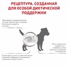 Royal Canin Gastrointestinal Low Fat Small Dog полнорационный сухой корм для взрослых собак мелких пород при нарушениях пищеварения, диетический - 1 кг фото 5
