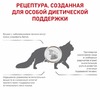 Royal Canin Hepatic HF26 полнорационный сухой корм для взрослых кошек для поддержания функции печени при хронической печеночной недостаточности, диетический фото 5