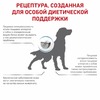 Royal Canin Hypoallergenic DR21 полнорационный сухой корм для взрослых собак при пищевой аллергии или непереносимости, диетический - 7 кг фото 5