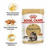 Royal Canin Maine Coon Adult полнорационный влажный корм для взрослых кошек породы мэйн-кун старше 15 месяцев, кусочки в соусе, в паучах - 85 г фото 5