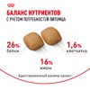 Royal Canin Pomeranian Adult полнорационный сухой корм для взрослых собак породы померанский шпиц старше 8 месяцев фото 5