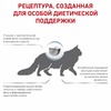 Royal Canin Skin & Coat полнорационный сухой корм для взрослых стерилизованных кошек при дерматозах и выпадении шерсти, диетический фото 5