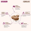 Sirius сухой корм для взрослых собак малых пород с индейкой - 10 кг фото 5