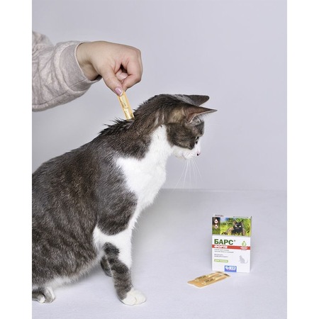 АВЗ Барс Форте капли инсектоакарицидные для кошек от блох, иксодовых и чесоточных клещей, вшей, власоедов - 3 пипетки фото 5