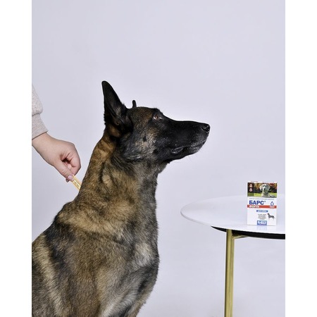 АВЗ Барс Форте капли инсектоакарицидные для собак от блох, иксодовых и чесоточных клещей, вшей, власоедов - 4 пипетки фото 5