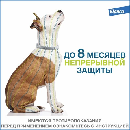 Elanco Foresto ошейник от клещей и блох для собак с весом более 8 кг - 70 см фото 5
