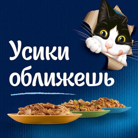 Felix Аппетитные кусочки полнорационный влажный корм для кошек, с ягненком, кусочки в желе, в паучах - 75 г фото 5