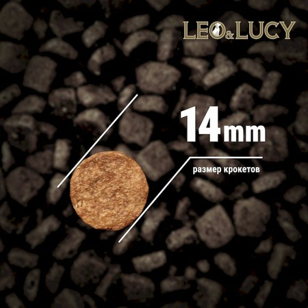 LEO&LUCY сухой холистик корм для взрослых и пожилых собак всех пород с индейкой и ягодами - 1,6 кг фото 5