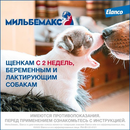 Elanco Мильбемакс таблетки от глистов для щенков и мелких собак (2 таблетки) фото 5