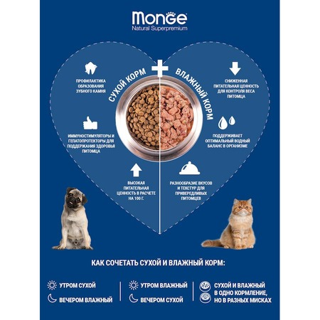 Monge Dog Monoprotein Solo полнорационный влажный корм для собак, беззерновой, паштет с говядиной, в ламистерах - 150 г фото 5