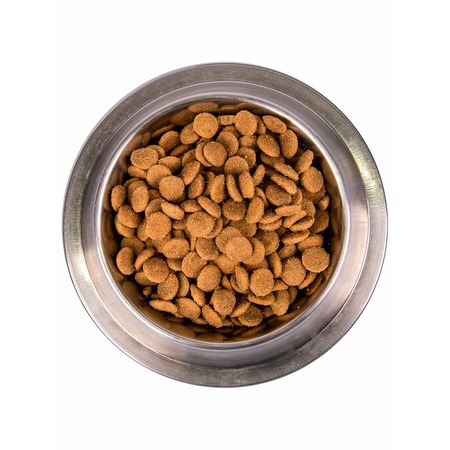 Monge Dog Speciality Line Monoprotein полнорационный сухой корм для собак, со свининой, рисом и картофелем фото 5