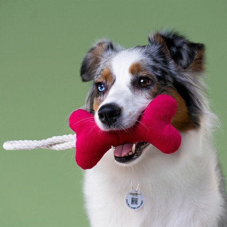 Mr.Kranch игрушка для собак мелких и средних пород, косточка с канатом, ярко-розовая - 31х9х4 см фото 5
